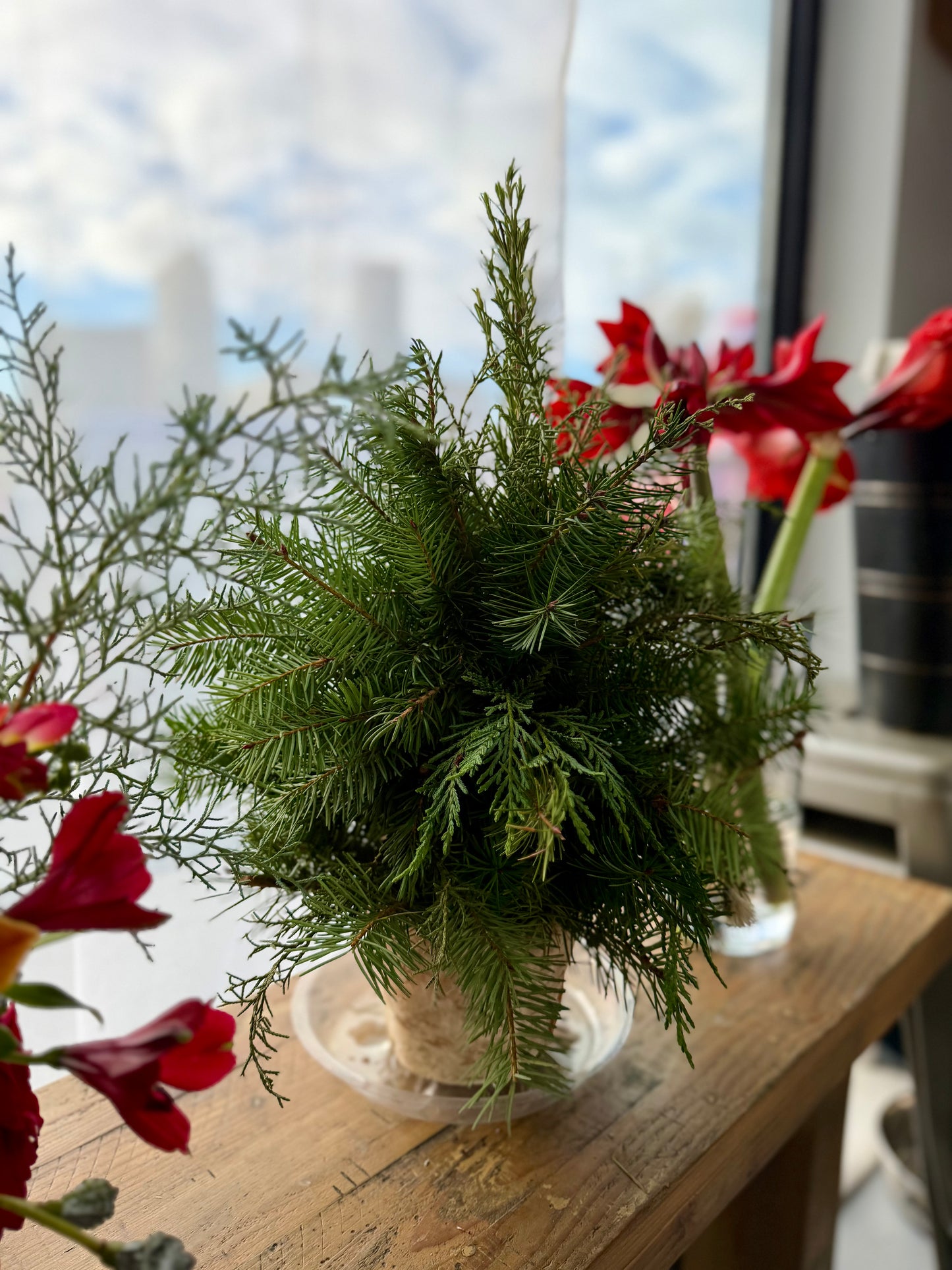 Holiday Fresh Tabletop Christmas Tree in Pedestal