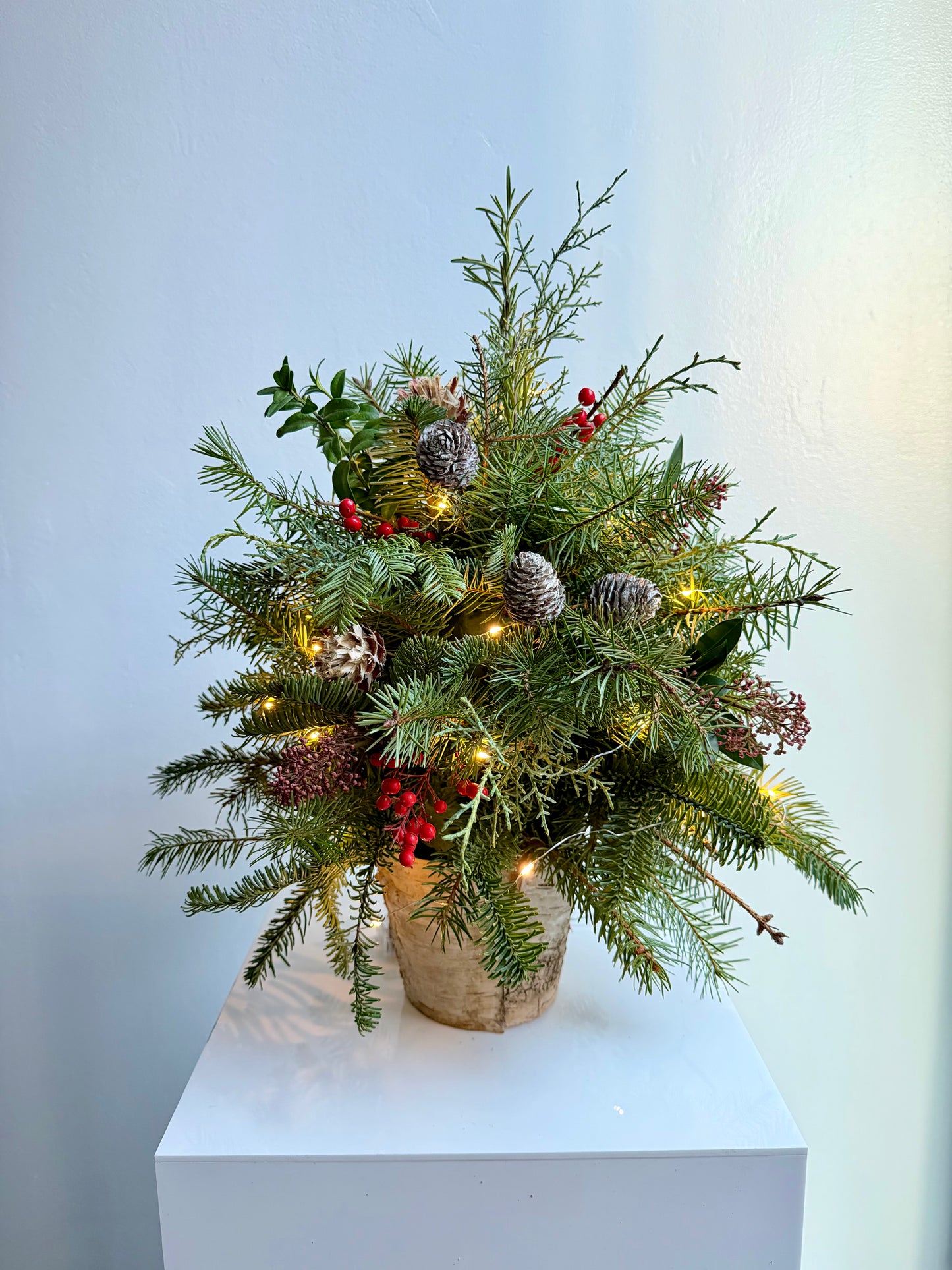 Holiday Fresh Tabletop Christmas Tree in Pedestal