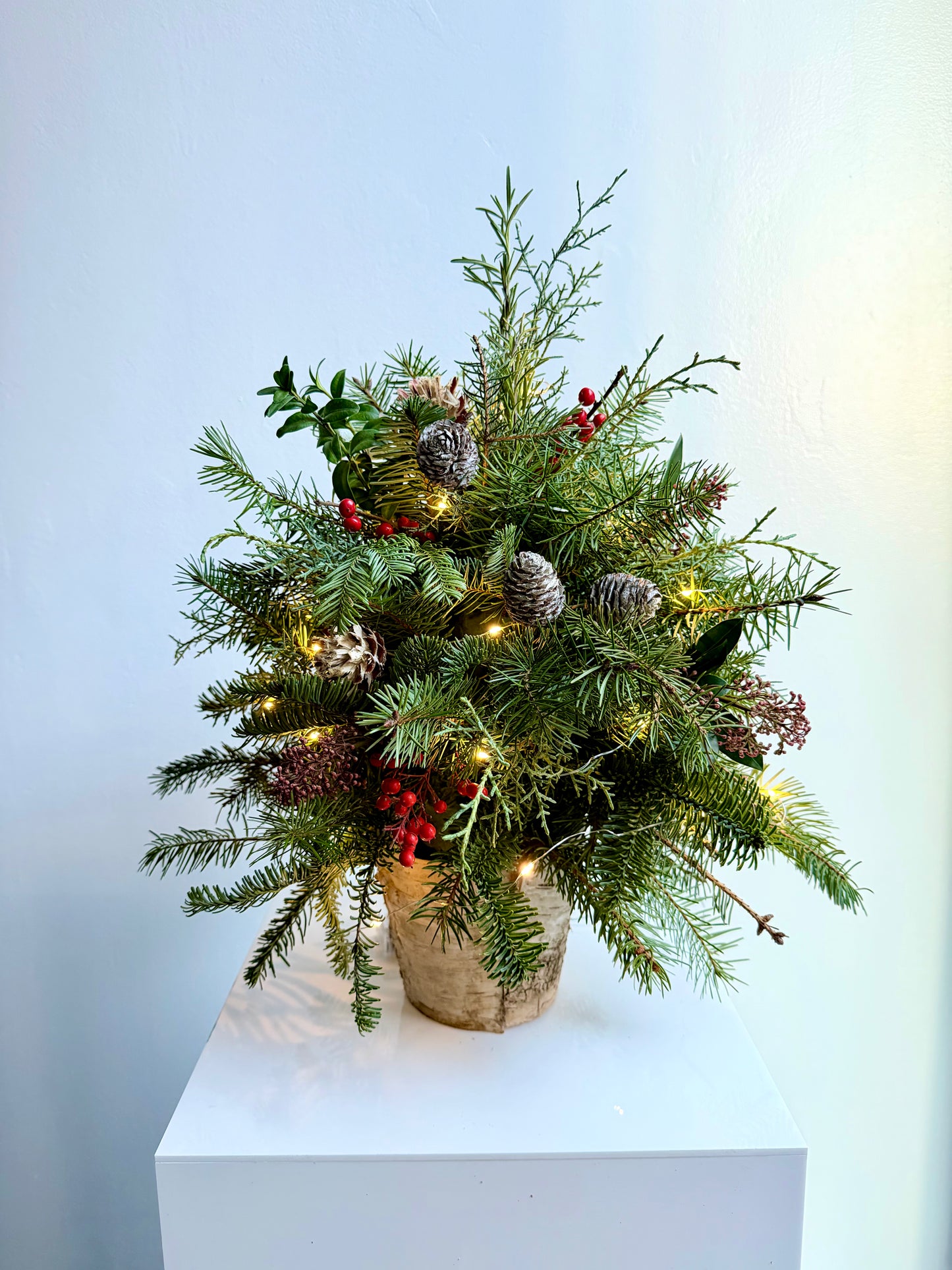 Holiday Fresh Tabletop Christmas Tree | DIY Decorating