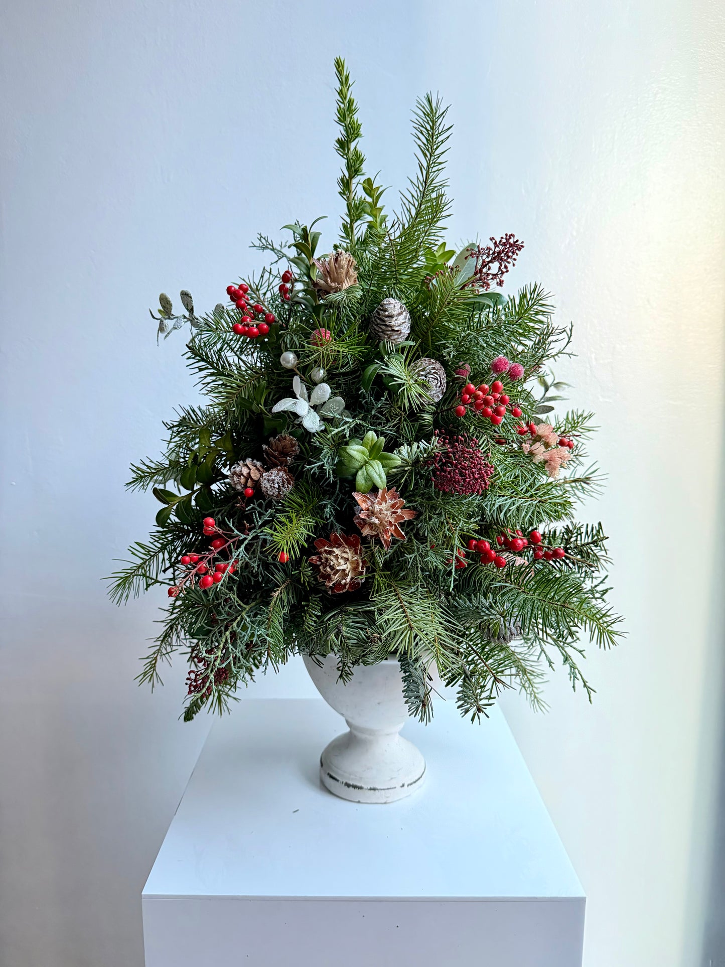Holiday Fresh Tabletop Christmas Tree with Fairy Lights
