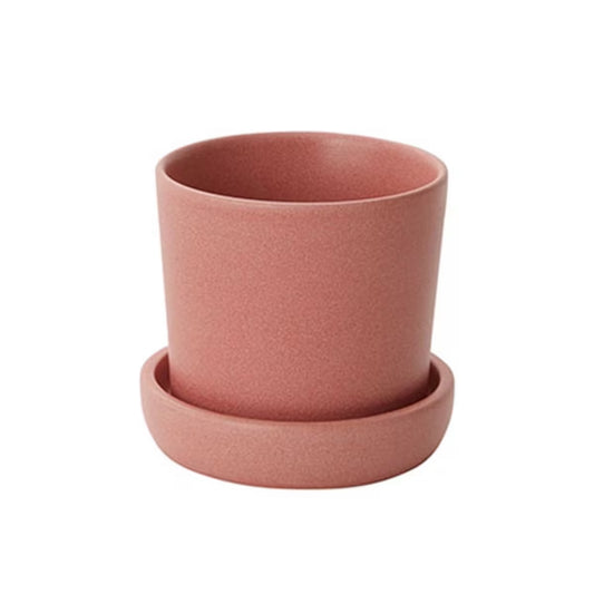 Watson Pot with Saucer